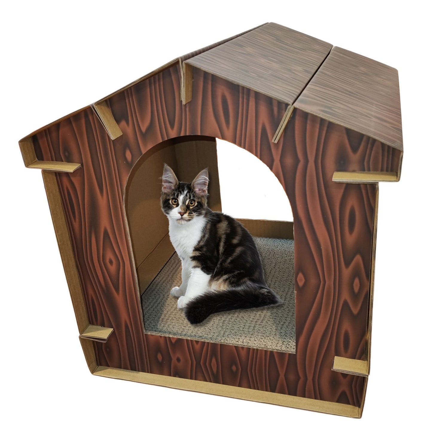 Casa Savanna Para Gatos | Waneka