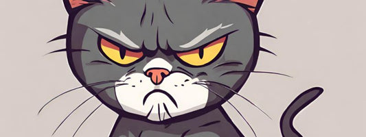 10 cosas que los gatos odian