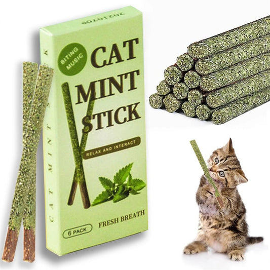 Palitos de menta Natural para gatos, juguetes masticables de hierba gatera