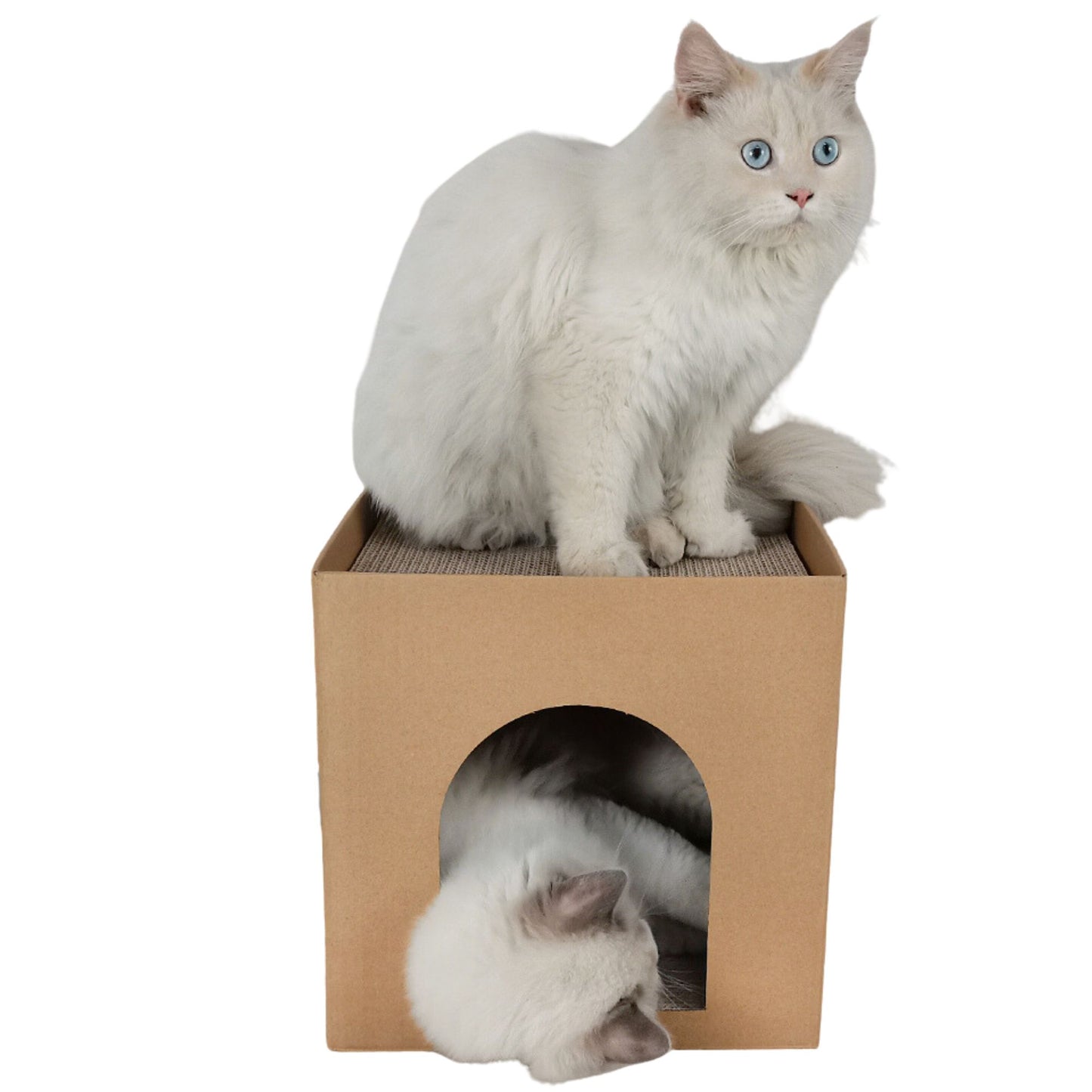 Cubo Rascador para gatos Sphinx