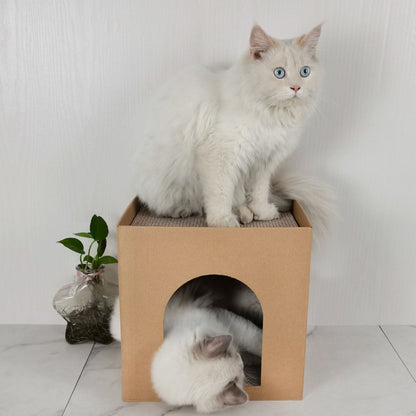 Cubo Rascador para gatos Sphinx