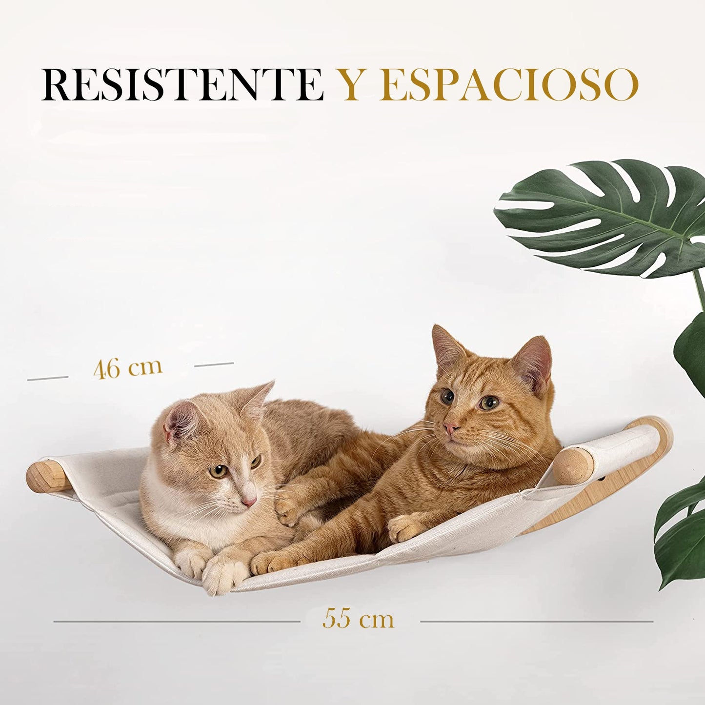 Hamaca y escalones para gatos