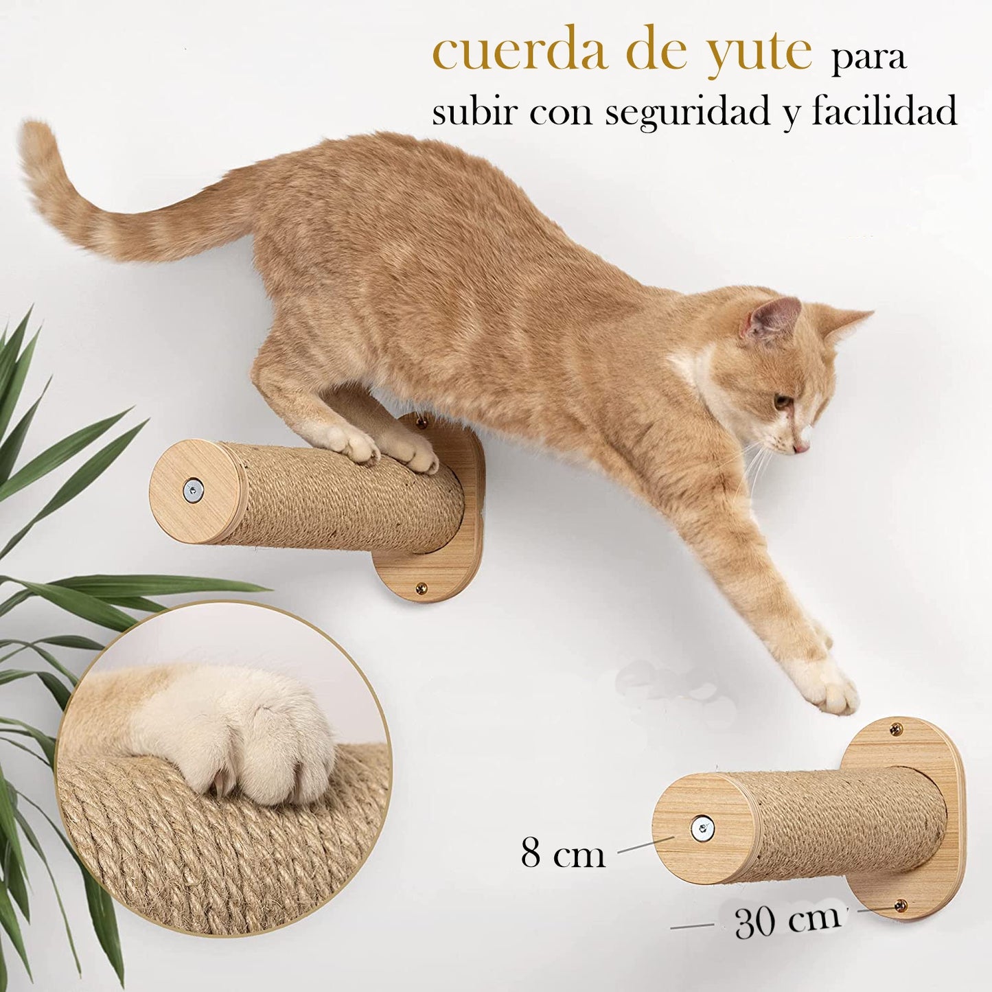 Hamaca y escalones para gatos