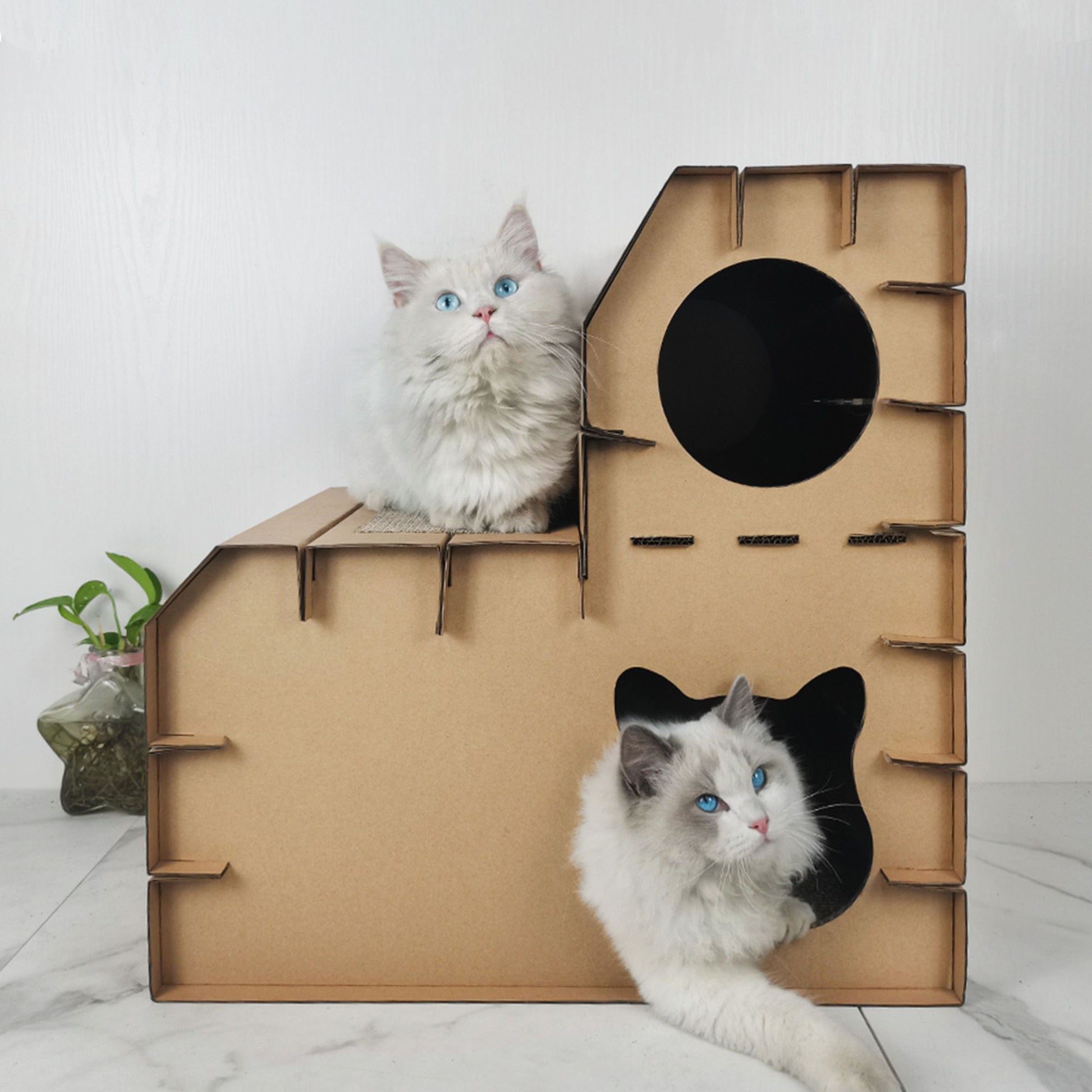 Rascador para Gato Scottish | Waneka