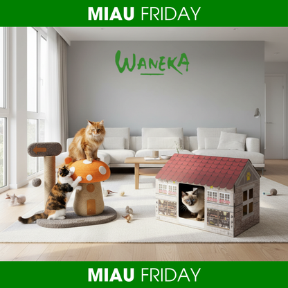 Casita y rascador de cuerda - MIAU Friday