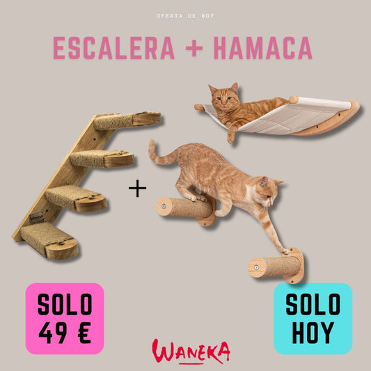 Pack Parkour para Gatos