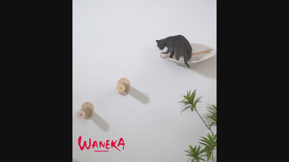 Hamaca y escalones para gatos