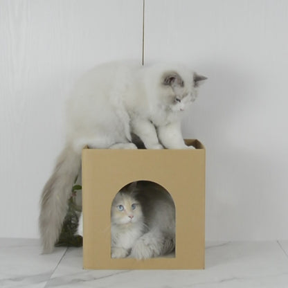 Cubo Rascador para gatos Sphinx